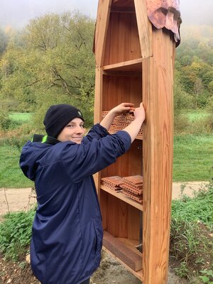 Arche einrichten