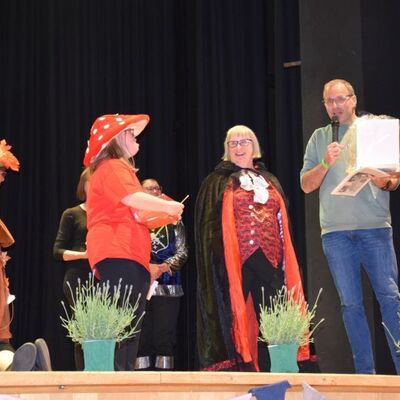Musical 2026 - D&auml;mmerland