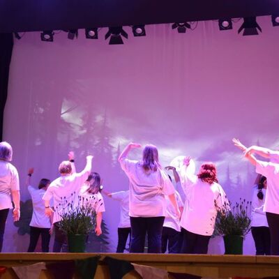 Musical 2026 - D&auml;mmerland