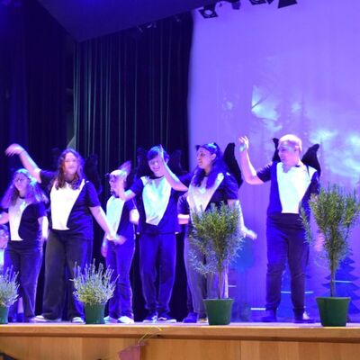Musical 2026 - D&auml;mmerland