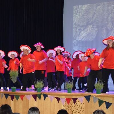 Musical 2026 - D&auml;mmerland