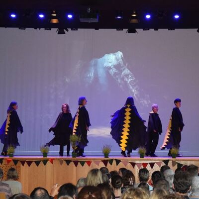 Musical 2026 - D&auml;mmerland
