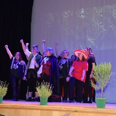 Musical 2026 - D&auml;mmerland