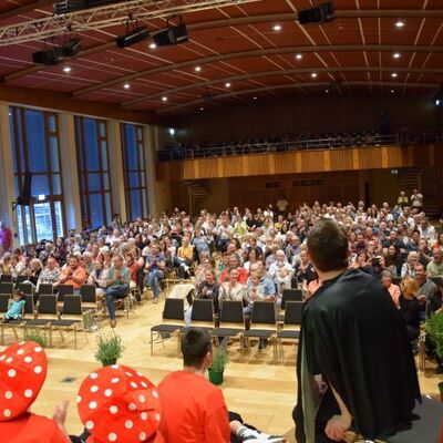 Musical 2026 - D&auml;mmerland
